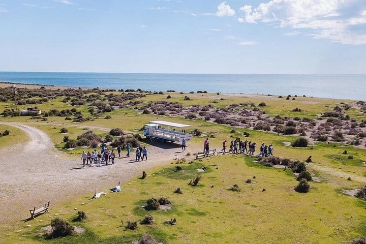 Estancia San Lorenzo: Home to the Largest Penguin Colony