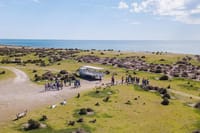 Estancia San Lorenzo: Home to the Largest Penguin Colony 7