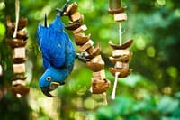 Bird Park