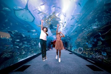Burj Khalifa At the Top & Dubai Aquarium Combo Entrance Tickets