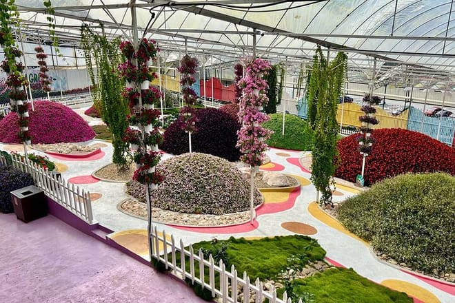Cameron Highlands with Lunch Guided Day Tour (SIC/Shared Tour) 9