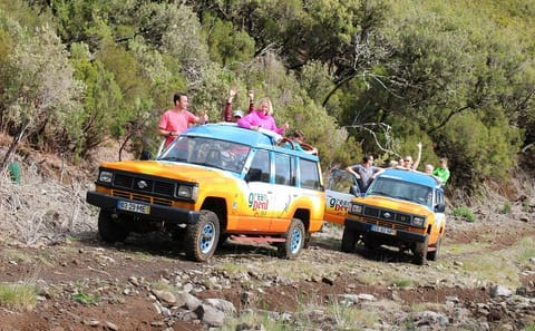 4x4 Adventure and Wine Tour in Camara De Lobos, Portugal