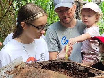 Guests observing stingless bee honey pot