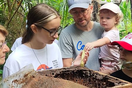 Stingless Bee Honey Farm and Beekeeping Experience in Beji Taman Mumbul