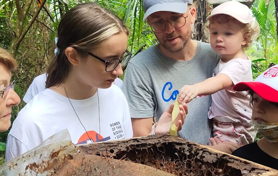 Stingless Bee Honey Farm and Beekeeping Tour