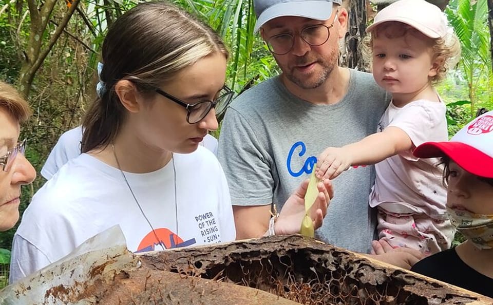 Stingless Bee Honey Farm Tour in Abiansemal, Indonesia