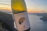 Santorini Private Wine Tasting with Dinner at Venetsanos Winery  6