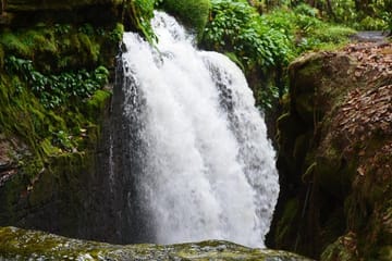Amazon Waterfalls Tour in Presidente Figueiredo, Brazil