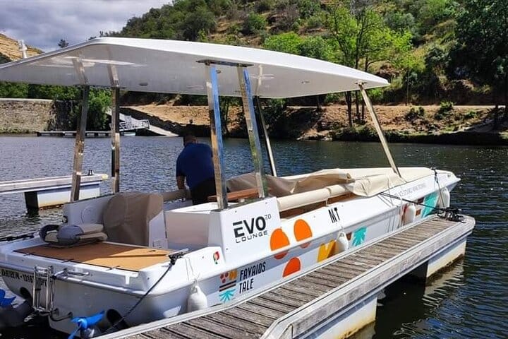 DOURO VALLEY & AMARANTE: Scenic or Wine Experience Private Tour