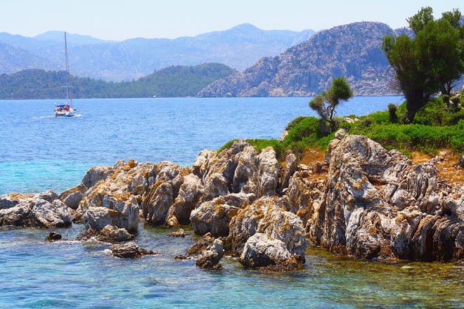 Camellia island Tours