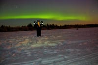 Northern Lights Sledge Ride 5