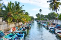 Maha Oya River Boat safari & Hamilton Canal in Negombo 2