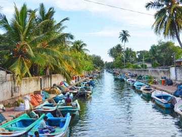 Maha Oya River Boat Safari and Hamilton Canal Tour in Negombo