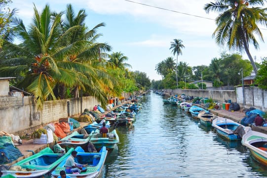 Maha Oya River Boat safari & Hamilton Canal in Negombo