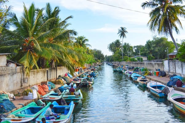 Maha Oya River Boat safari & Hamilton Canal in Negombo