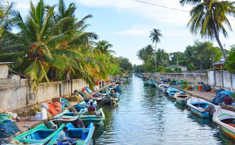 Maha Oya River Boat Safari and Hamilton Canal Tour in Negombo