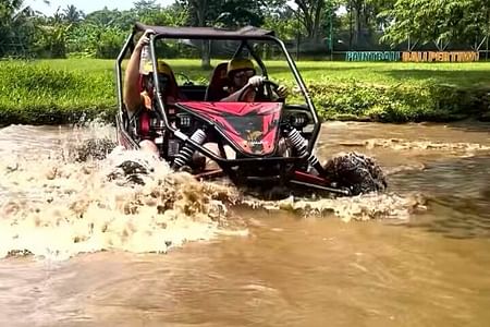 Bali UTV Buggy Adventure in Ubud: Thrilling Off-Road Experience in Nature