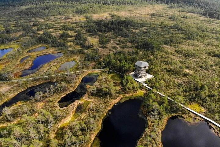 Viru bog