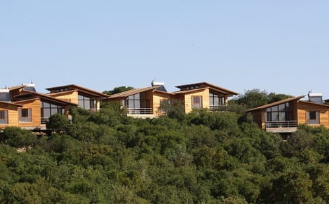 Overnight Nature Tour in Ajloun Forest Reserve from Amman