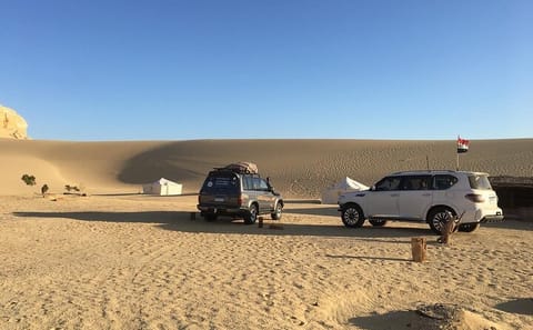 Private Jeep Adventure Tour of Fayoum Oasis from Cairo