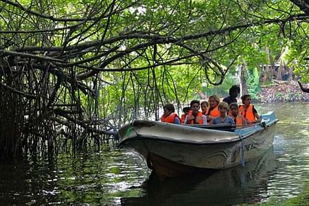 Explore Galle’s Beaches and Scenic Boat Rides in Sri Lanka