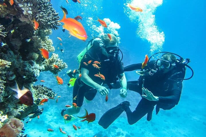 Beach Dive with Transfer – Sharm El Sheikh