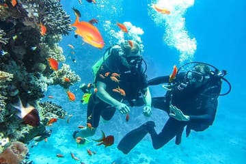 Beach Dive with Transfer – Sharm El Sheikh