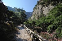 Agia Irini Gorge and Sougia Beach Tour 5