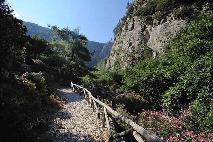 Agia Irini Gorge and Sougia Beach Tour 5