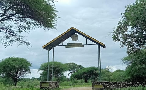 Tarangire National Park Day Trip from Arusha