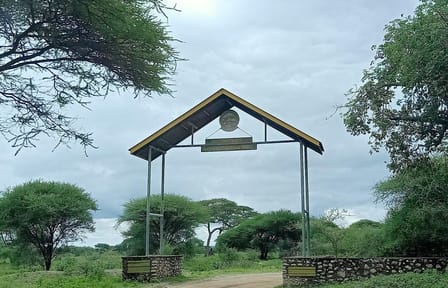 Tarangire National Park Day Trip from Arusha