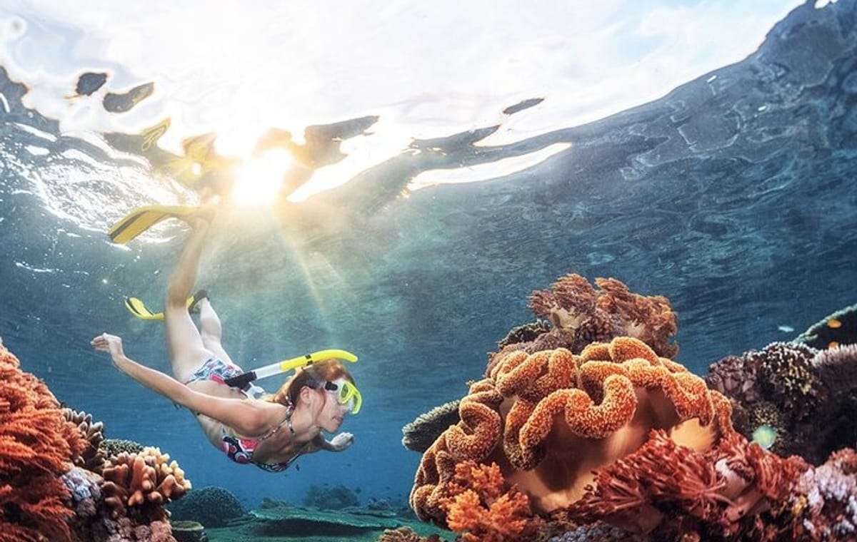 Snorkeling in Trincomalee