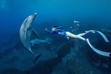 Snorkeling Adventure at Eden Island in Hurghada, Egypt