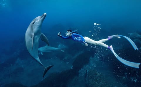 Snorkeling Adventure at Eden Island in Hurghada, Egypt