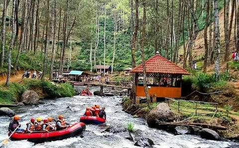 Private Full-Day Water Rafting Adventure in Central Jakarta