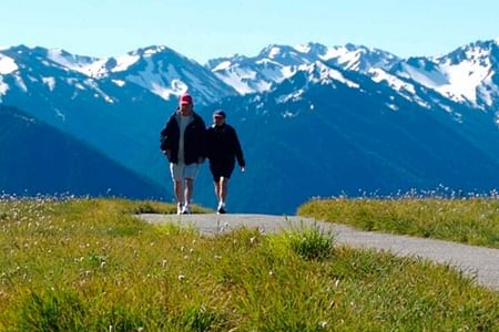 Discover Olympic National Park: Scenic Ferry, Wildlife Safari & Hiking