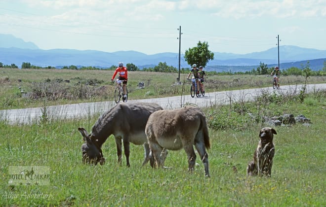 Fun Bike Tour from Split photo 3