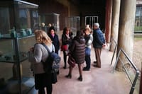 Excavations of Pompeii