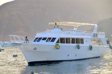 Full-Day Dolphin Swim and Snorkeling Tour in Hurghada