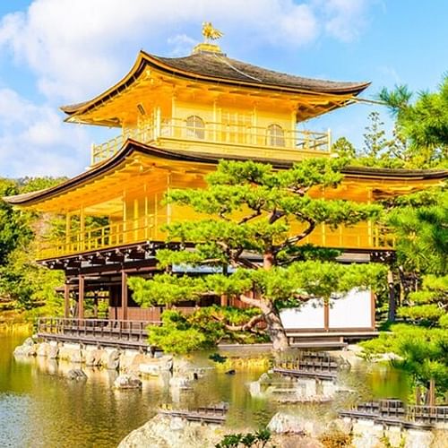 Full Day Guided Kyoto Cultural Tour