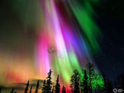 Private Aurora Tour (1-4) by Aurora Experts - Rovaniemi 2