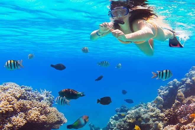 Ras Muhammed &amp; White Island Snorkeling Boat Trip With Lunch - Sharm El Sheikh