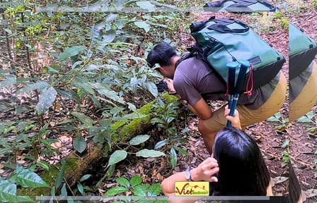 Trekking Pinhatt and Kayaking Tuyen Lam Lake in Dalat