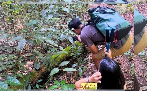 Trekking Pinhatt and Kayaking Tuyen Lam Lake in Dalat