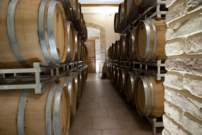 Visit the winery, stroll through the vineyards, taste the Cantine Mucci Wine 5