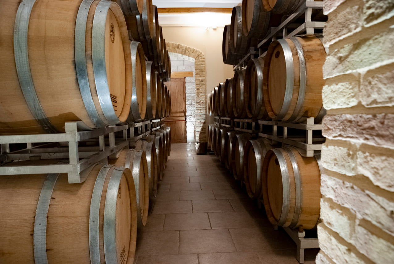 Visit the winery, stroll through the vineyards, taste the Cantine Mucci Wine 5