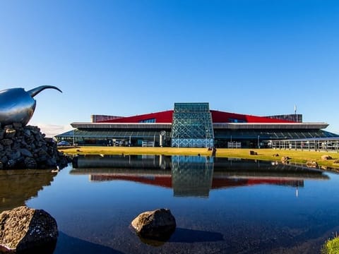 Cruise Port Private Transfer to Keflavik Airport, photo 5