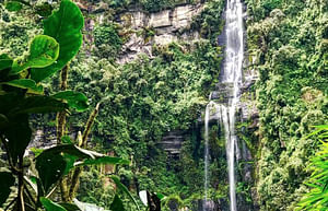 Explore the Highest Waterfall in Colombia: La Chorrera Natural Park