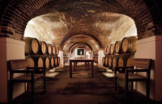 Lisbon to Évora Day Trip with Cathedral and Wine Tasting