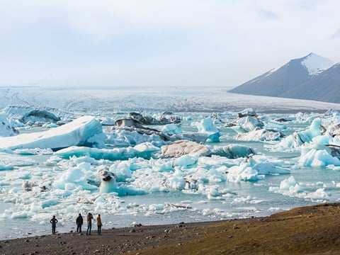9 Day - Around Iceland & Wild Westfjords, photo 15